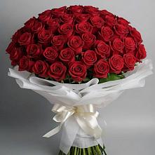 Букет 101 Красная роза Блэк Мэджик в Любиме