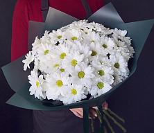 Букет цветов из:  Хризантемы #REPLACE_PRED# Любиме