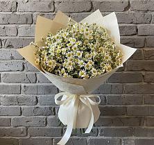 Букет цветов из:  Ромашки #REPLACE_PRED# Любиме