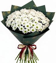 Букет цветов из:  Хризантемы в Любиме