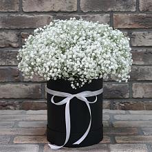 Цветочная композиция из Гипсофила в шляпной коробке в Любиме