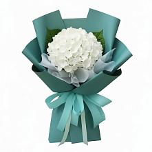 Букет цветов из:  Гортензия в Любиме